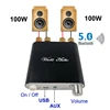 2*100W Bluetooth 5.0 TPA3116D2 Digital Power Audio Amplifier Board TPA3116D2 Stereo HiFi USB Amplificador Home Theater Mini AMP 1