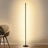 Nordic Minimalist LED Floor Lamps Creative Stand Lamps for Living Room Led Black Metal Luminaria Standing Lamp Lampara Fixtures ► Photo 1/6