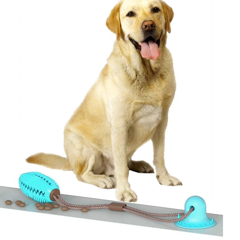 Dog Interactive Molar Chew Toy Pet Dog Toys with Suction Cup Self-playing Rubber Ball for Small Dogs Leak Food Dogs Toy