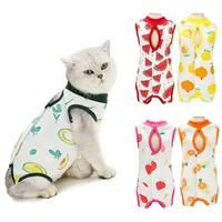 Cat Surgery Recovery Suit: Comfortable and Stylish Alternative for Post-Surgery Cats