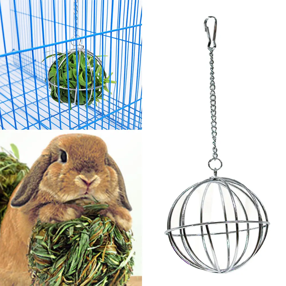 guinea pig balls for sale