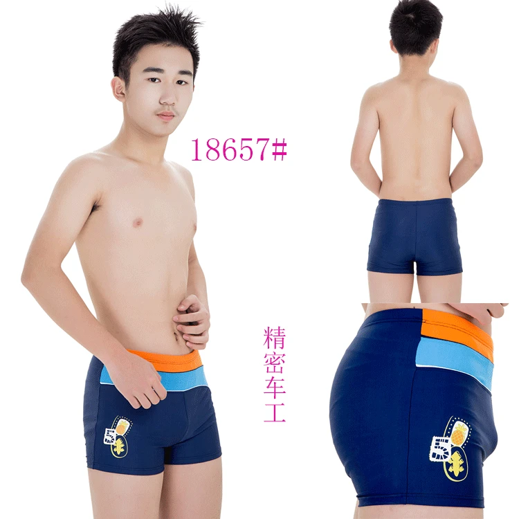 

Hot Selling Children Swimming Trunks Kids Swimming Trunks Big Boy Swimming Trunks (Suitable 8-13-Year-Old) Swimming Trunks 18657
