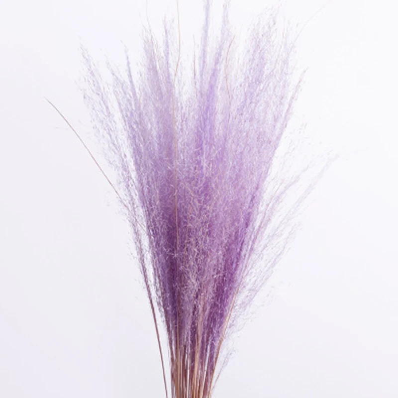 50 стеблей сухие цветы маленькая пампасная трава Phragmites коммуны сушеные цветы Искусственные цветы украшение дома DNJ998