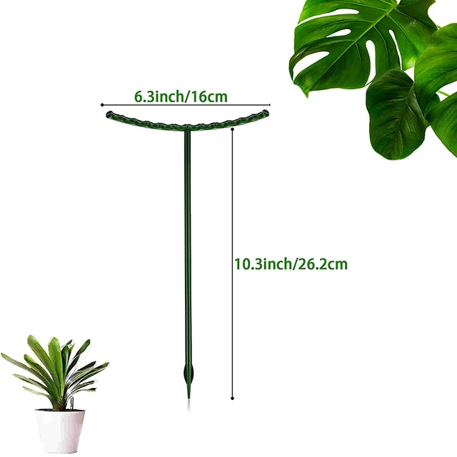 6Db -Os Képes Összeszerelve A Növényi Tartóhalom 2 Méret Egyrétegű Orchidea Állvány Több Húsú Napvirág Tartó Kerti Kiegészítők - Image 6