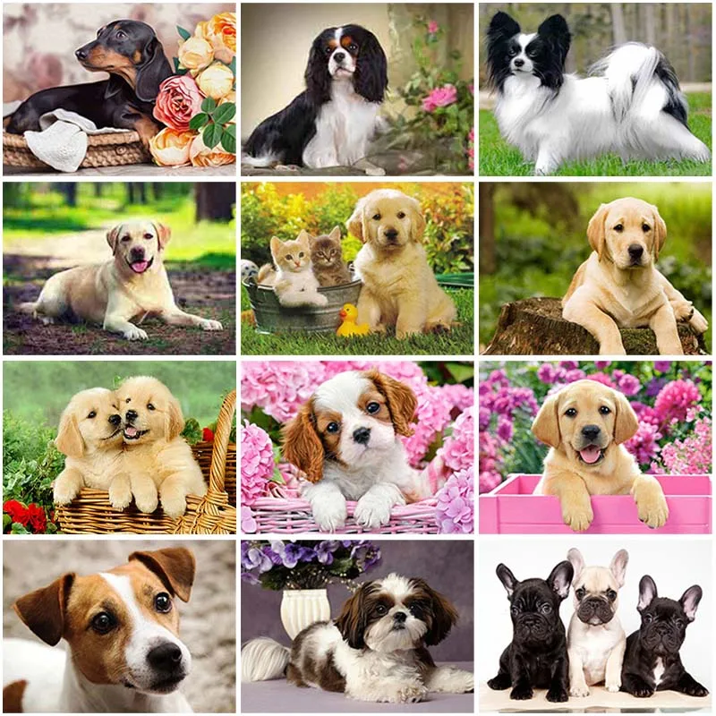 5D DIY Diamond Painting Cartoon Full Round Drill Animal Dog Embroidery Cross Stitch Golden Retriever Wall Art Home Decor | Дом и сад