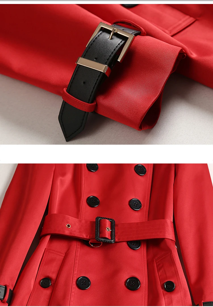 8559544039_605443741