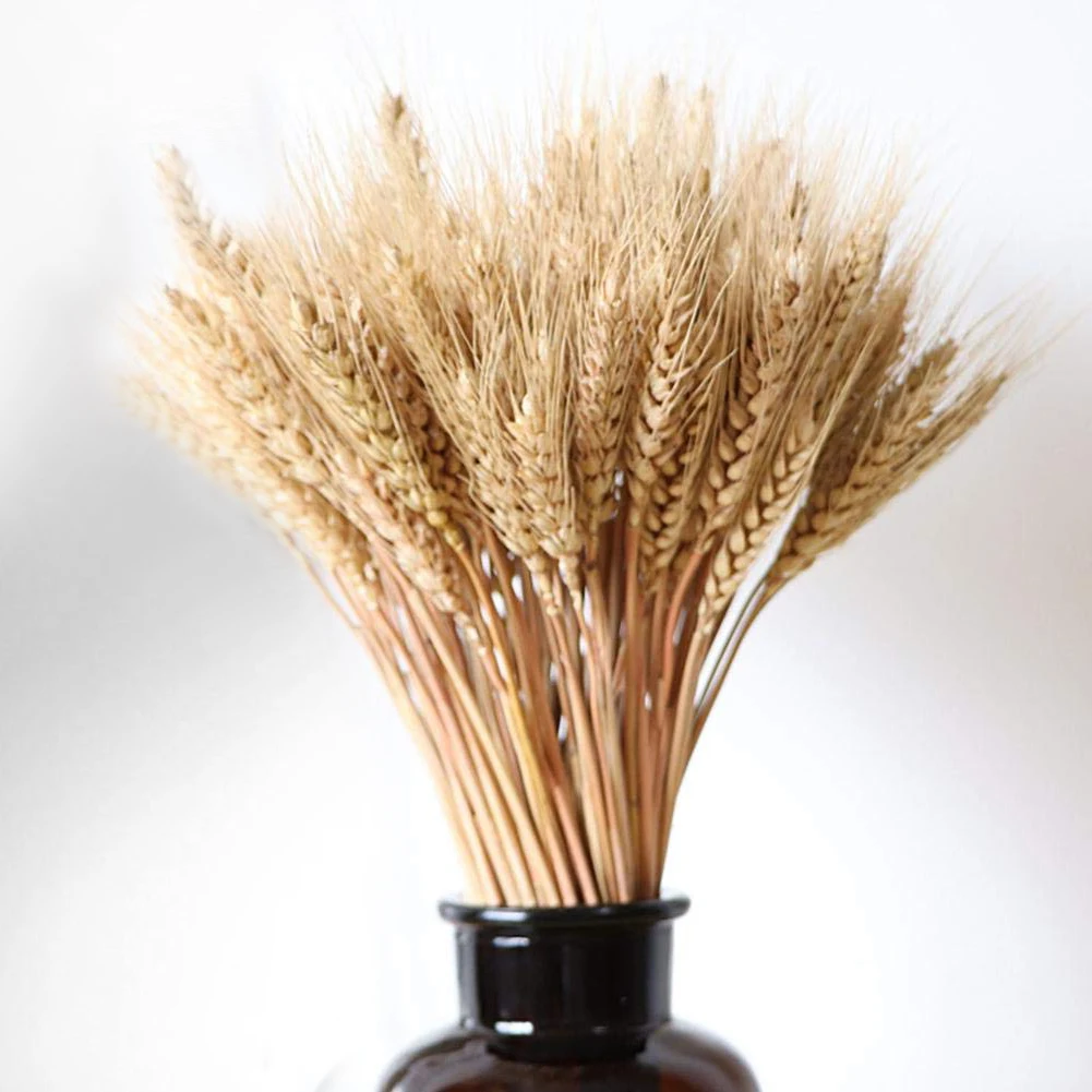 

100Pcs/lot Real Wheat Ear Flower Natural Dried Flowers For Wedding Party Decoration DIY Craft Scrapbook Home Decor Wheat Bouquet