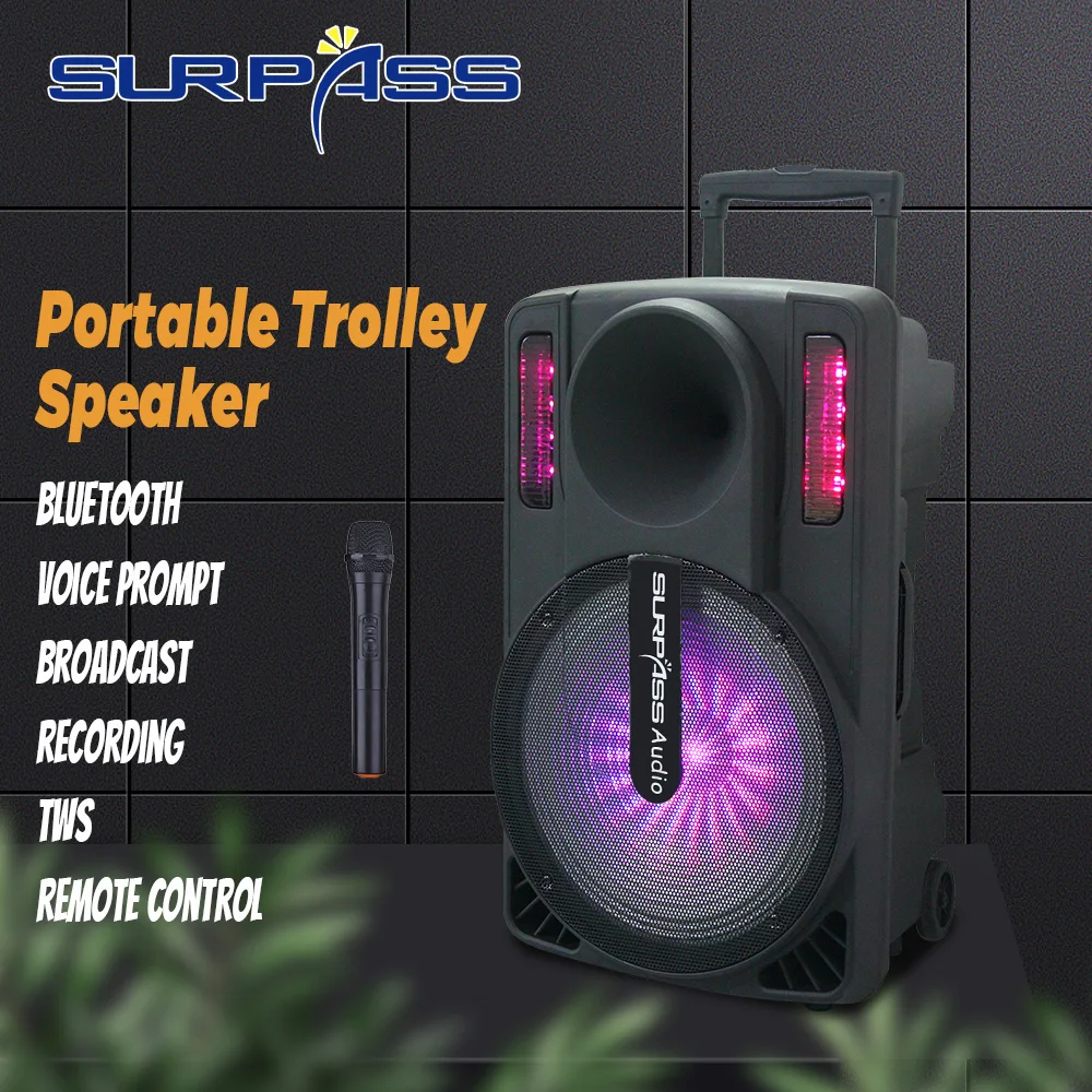 speaker portable 10 inch