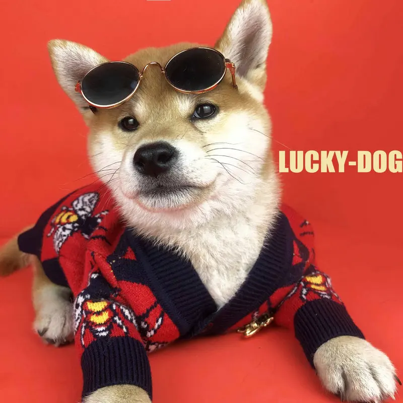 Pet Clothing Dog Clothes Cardigan Sweater Coat Autumn Keep Warm Bee Designer Luxury Small Large | Дом и сад