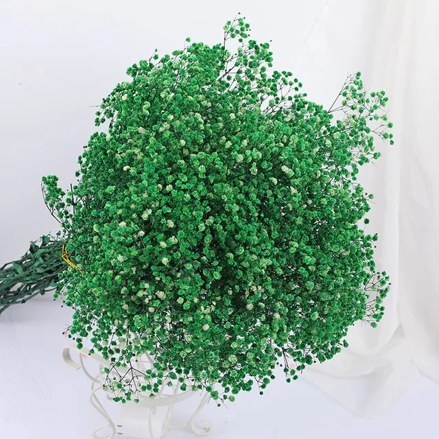 Natural Fresh Dried Preserved Flowers Gypsophila Paniculata,Baby's Breath Flower Bouquets Gift for Wedding Decoration,Valentines green