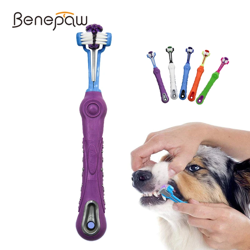 healthy snouts toothbrush