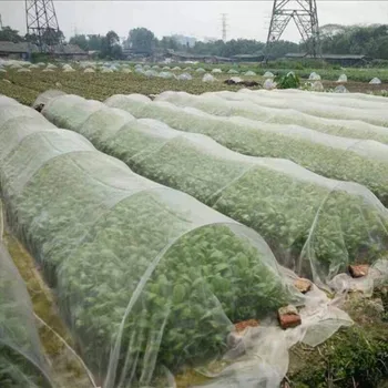

Insect Protection Net Garden Vegetable Plant Protect Netting 10m*2.5m Grow Tunnel Fine Mesh For Vegetables Plants Fruits