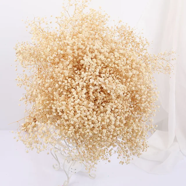 Natural Fresh Dried Preserved Flowers Gypsophila Paniculata,Baby's Breath Flower Bouquets Gift for Wedding Decoration,Valentines Beige
