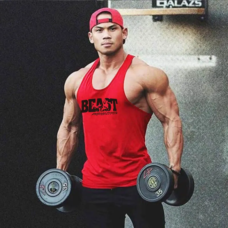 Ginásio winer homem besta musculação stringer ginásios tanque topo de  fitness singlet algodão sem mangas camisa colete muscular - AliExpress