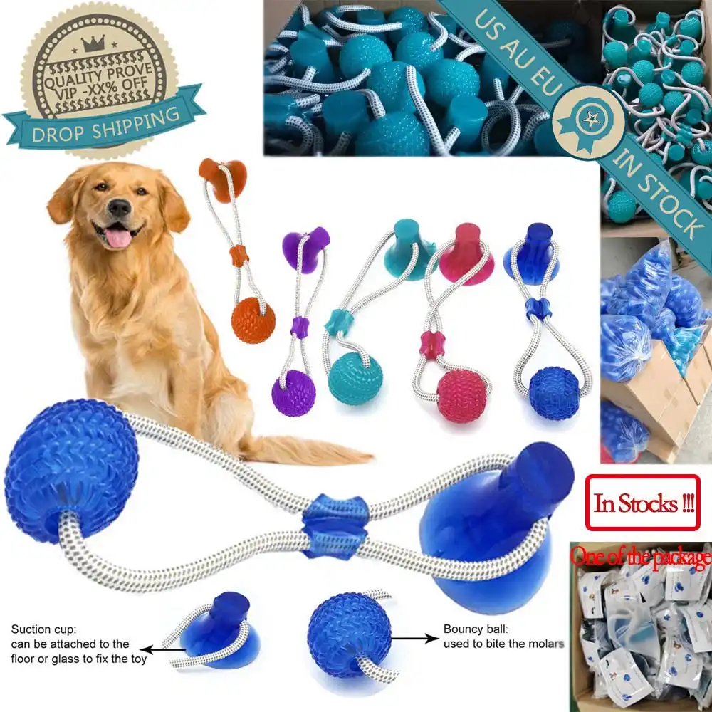 Animaux De Compagnie Chats Chiens Interactif Ventouse Pousser Tpr Balle Jouets Cordes élastiques Nettoyage Des Dents Pour Animaux De Compagnie Mâcher