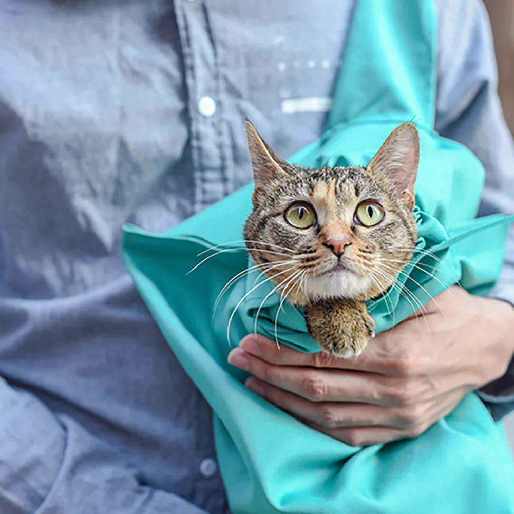 Hands Free высокопрочный питомец кошка моющиеся наружные аксессуары нейлон практичная переносная сумка мягкая сумка на одно плечо