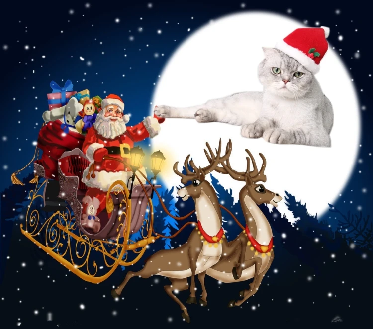 Новогодняя Милая одежда для косплея, костюм для домашних животных, эластичный Блестящий шляпа для животных, кошек, больших собак, Рождественская вечеринка, украшение для домашних животных