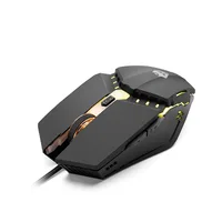 Computer Peripherals