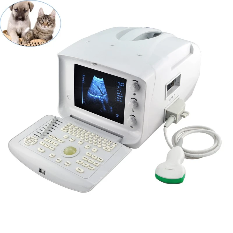 Enriquecer flor Caramelo Equipo de diagnóstico veterinario portátil, pantalla LED de 10 pulgadas,  equipo de ultrasonido para animales, envío gratis|Presión arterial| -  AliExpress