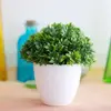 Artificial Potted Plant Bonsai Plastic Flowerpot Ornaments Simulation Flower Grass Birthday Party Decor Home Office Desk Decor ► Photo 3/6