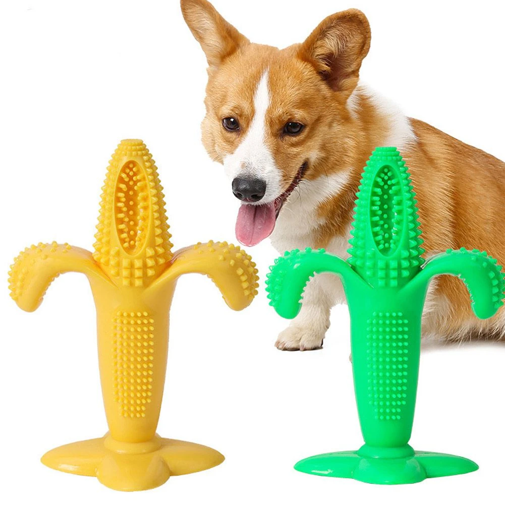 Are Plastic Toys Safe For Dogs