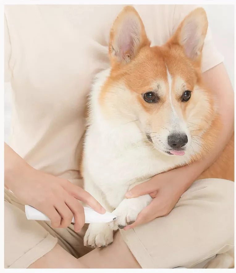 20190827_113052_001_06