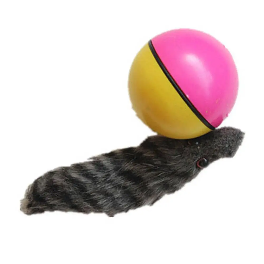 

GloryStar Cute Electric Beaver Rolling Ball Pet Dog Cat Toy (Random Colour)