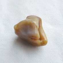 Natural beautiful stone Ornamental raw stone raw agate Silk Road Collectibles unique collection