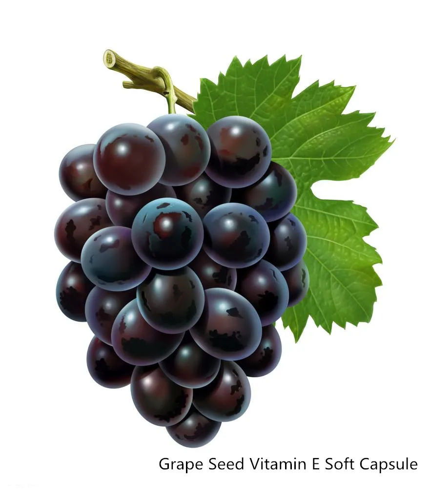 

Grape seed vitamin E60pcs , containing antioxidant polyphenols, anti-radiation