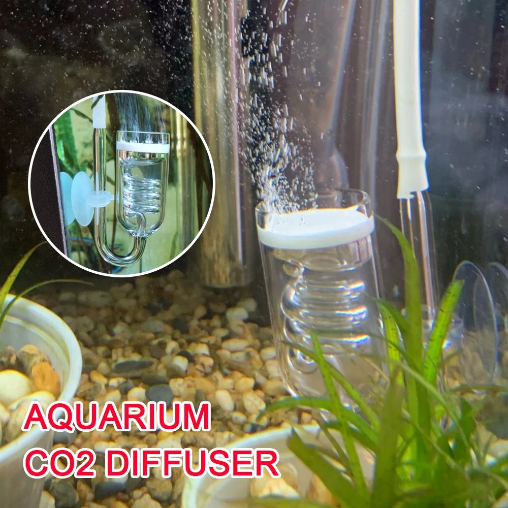 Diy Aquarium Bubbler ubicaciondepersonas.cdmx.gob.mx