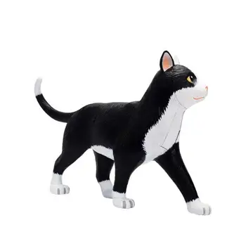 

4D black and white cat Intelligence Assembling Toy Animal Organ Anatomy Model Medical Teaching DIY Popular Science Appliances