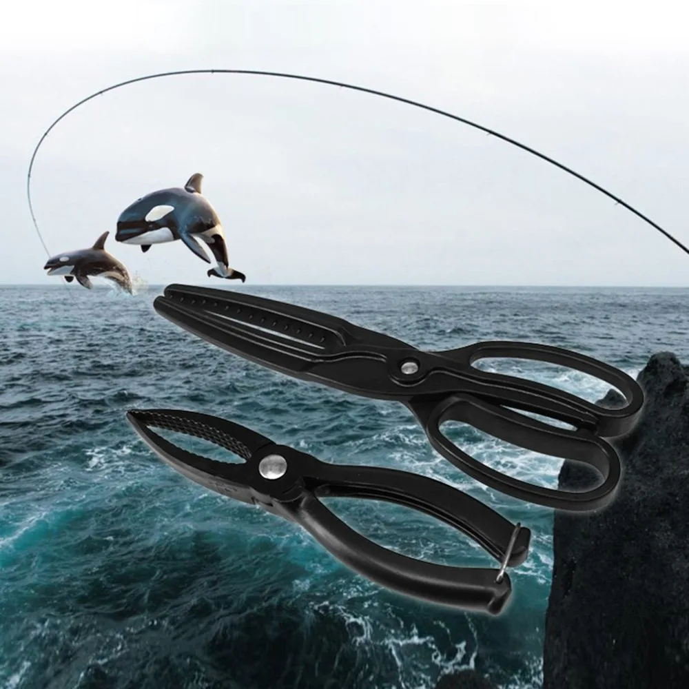 TY550301-C-20110903-1