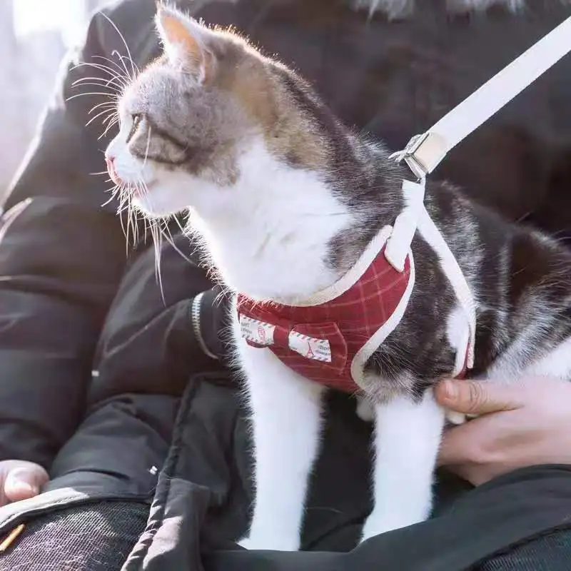 Cat Universal Lanyard Walk a Cat Lanyard Anti-Break Free Cat Cat Leash Universal Universal Lanyard mao lian Cat Chinlon Cat Universal Lanyard Walk a Cat Lanyard Anti-Break Free Cat Cat Leash Universal Universal Lanyard mao lian Cat Chinlon