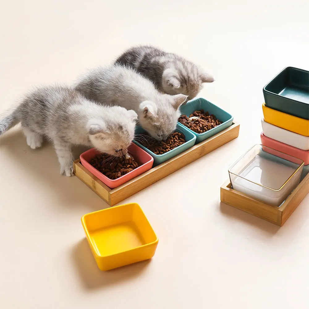 Кошка щенок Фотофон с деревянной подставкой и блюдцем прочная маленькая