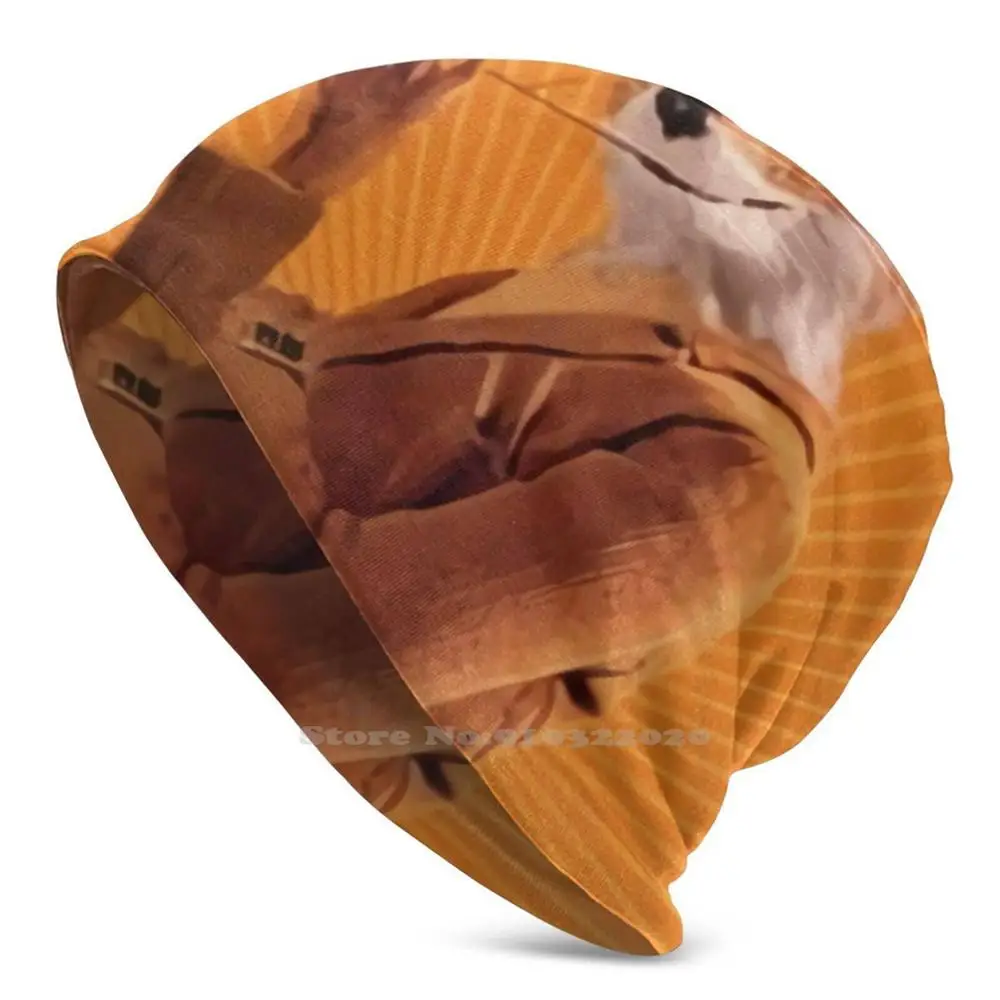 Fantasticmrfox Pesca Campeggio Caccia Outdoor Cap Unisex Black Friday Mr Fox Xmas Movie Fantastica Volpe