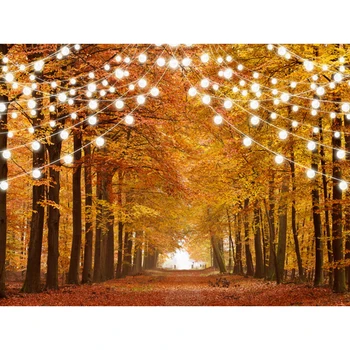 

Glitter Autumn Forest Photography Backdrop Sparkle Natural Scenery Fall Landscape Leaves Party Background Decor Photo Booth