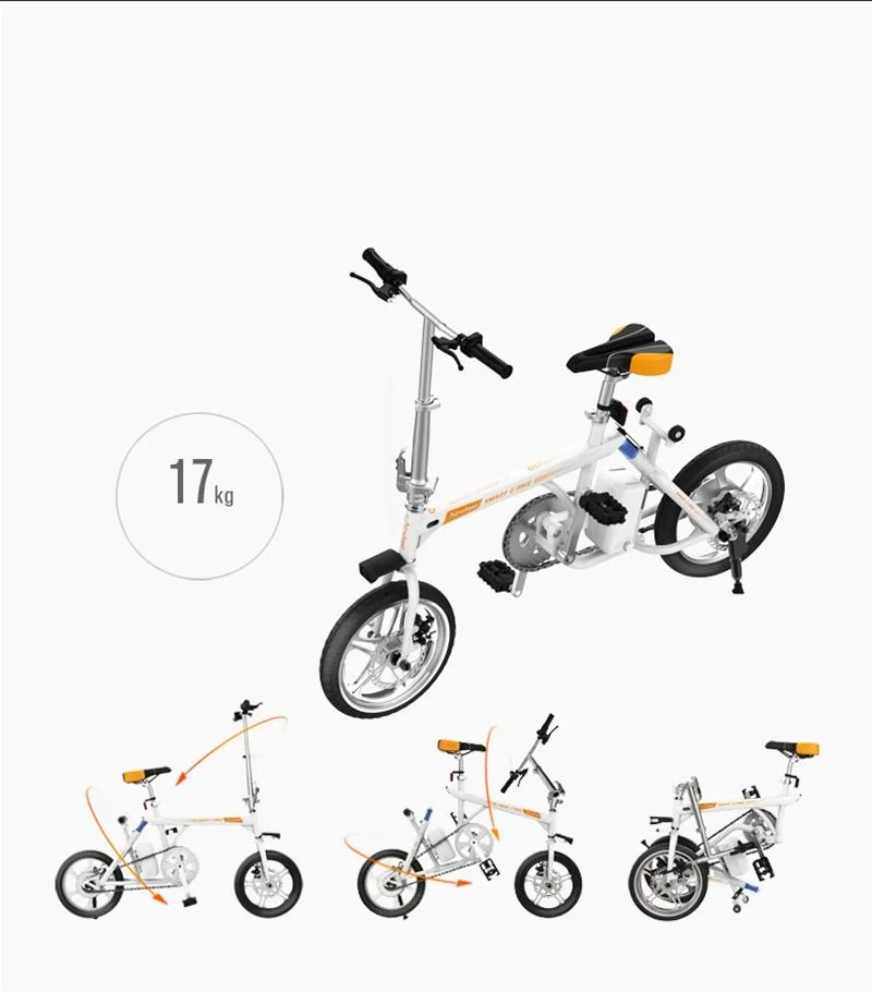 4013107197_1829624987