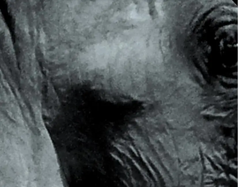 QQ截图20200627160721