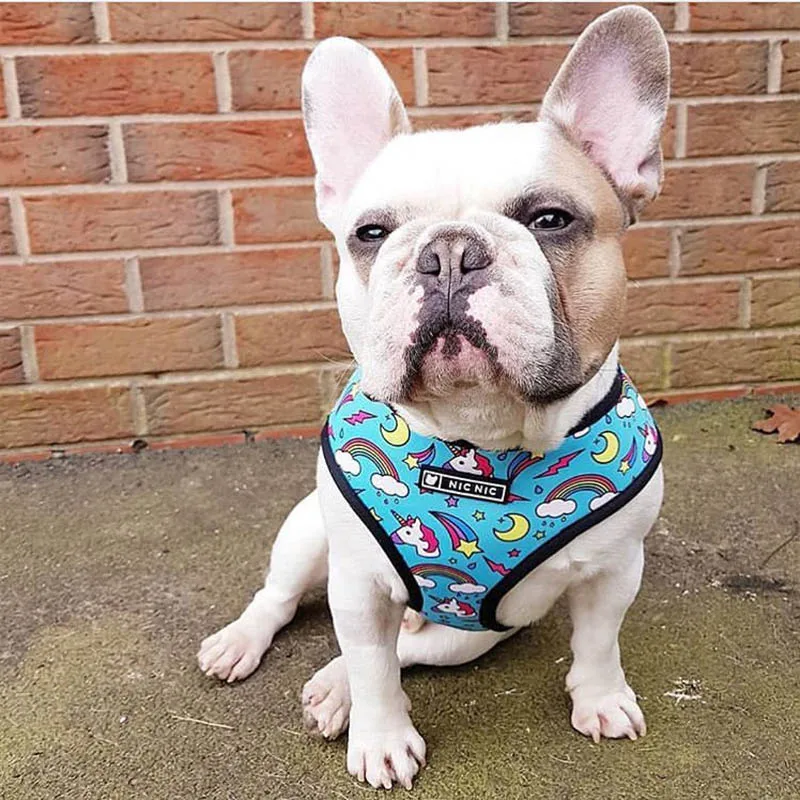 Harnais animal,Harnais pour chien bouledogue français,carlin,petit et moyen gabarit,laisse
