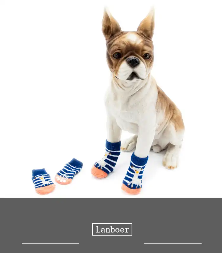 cute shoes for dogs