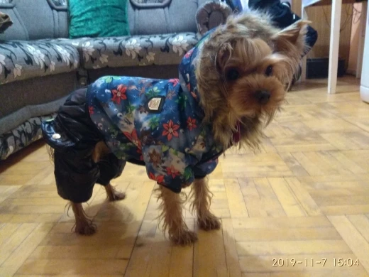 U3d7e75bc780a4e3c8c68397192737ea9H