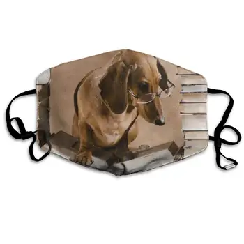 

Face Mask Wise Dachshund Dog Professor Book Customized Cycling Half Face Earloop Mouth Mask For Women