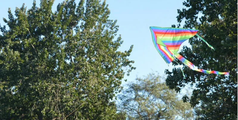 1m Rainbow Delta Kite Outdoor-Sport für Kinder Spielzeug leicht zu fliege TDI 
