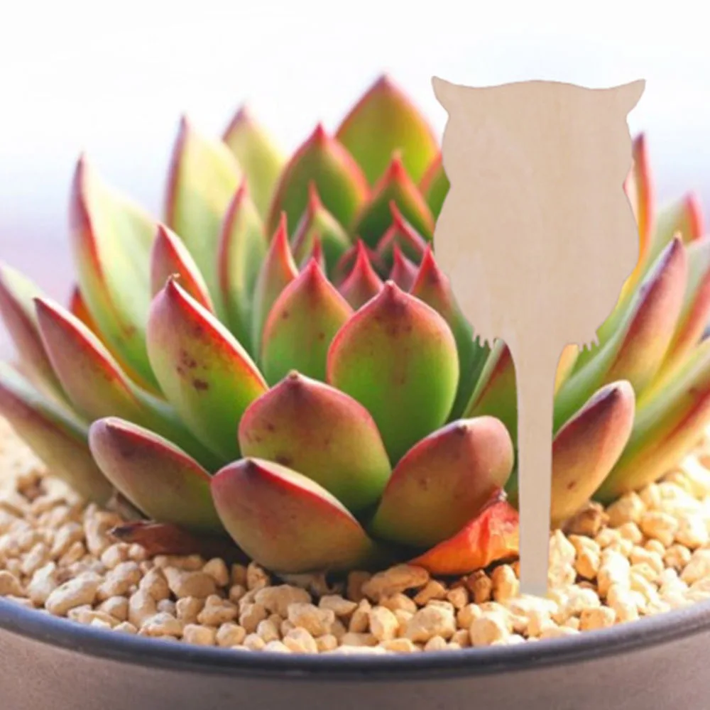 a80411f746d62e45ec7c4f04f48bcfae