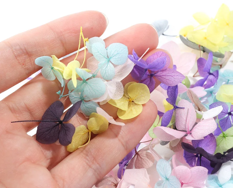 QQ截图20200215145219