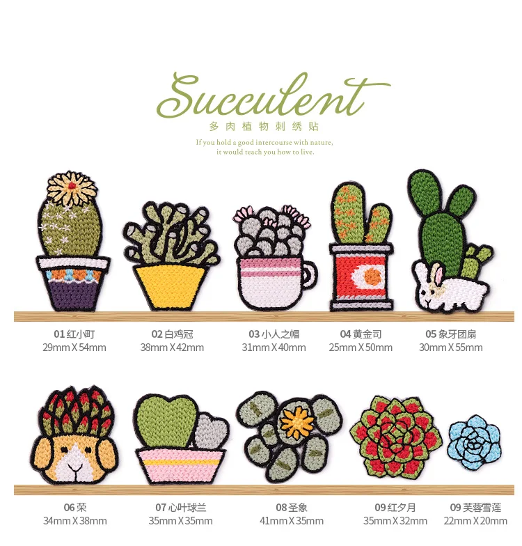 O1CN01NGa8nn1lIc18RmreS_!!2867234796