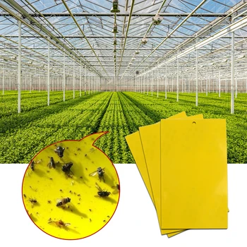 

40Pcs Aphid Insects Pest Killer Sticky Catching Outdoor Flies Board Bait Flies Household Garden Planting Elements Dropship