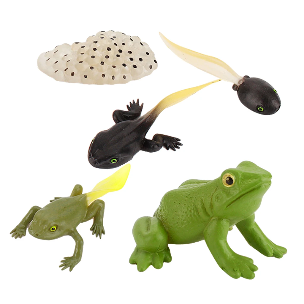 Early Kids Toddlers Simulation Animals Growth Cycle Toy Pretend Play Animal Growth Cycle Teaching Aids Early Educational Toy