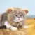Регулируемая Львиная Грива Парик Шапка Кот Шляпа Костюм Косплей с Ушами Котенок Одеваются Шляпа Хэллоуин Зоотовары