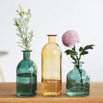 

INS Small Mouth Glass Transparent Vase Nordic Wind Dried Flower Vases Japanese Home Wedding Decoration Colorful Flower Vases